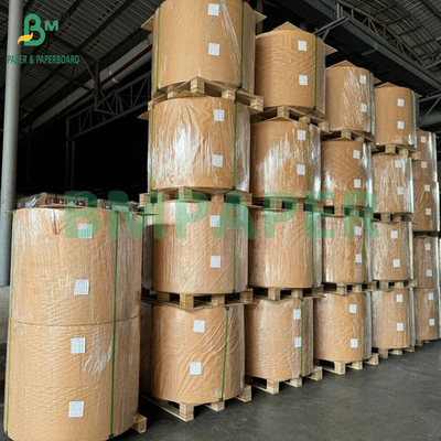 50 gm 328 mm Papel de filtro de café de qualidade alimentar branqueado e não branqueado