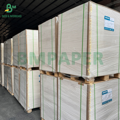 270 gm 330 gm FBB GC1 Cartão Para Caixas Farmacêuticas 61 x 156 cm Durável
