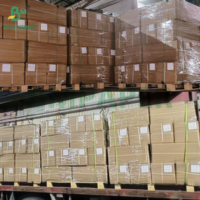 Papel de aço inoxidável de 15 x 700' para fumo