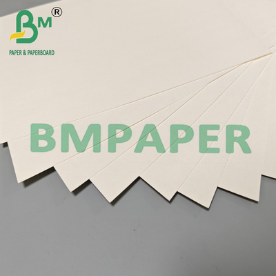 190 g 210 g Papel de Rolo de Copo de Bebidas Quentes descartável 15 g PE revestido