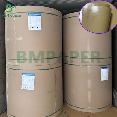 300 gm de cartão revestido de PE de 1 lado à prova de gordura para almoço 70 x 100 cm
