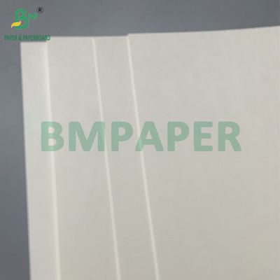 Resistente à água Single PE revestido 190gsm 210gsm Cupstock para fazer copos de papel quentes e frios