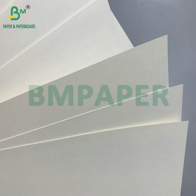 Resistente à água Single PE revestido 190gsm 210gsm Cupstock para fazer copos de papel quentes e frios