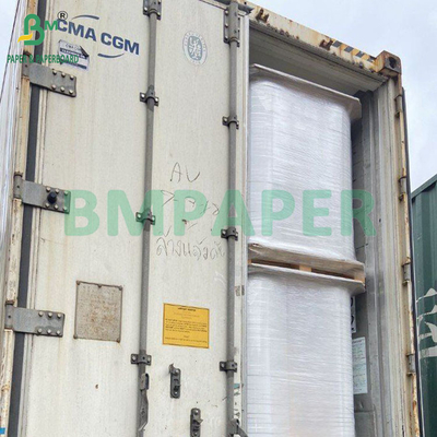 50 gm de pasta de madeira branqueada e não branqueada de qualidade alimentar Papel de filtro de café 328 mm