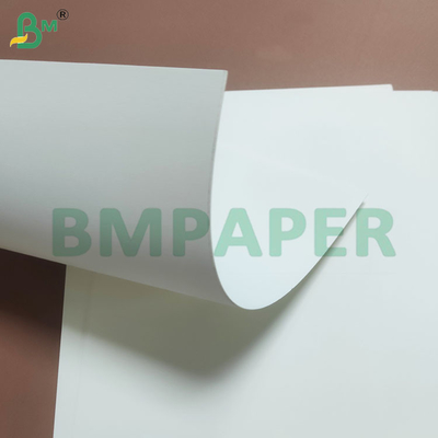 Proteção resistente à humidade revestida em PE, rolos de papel para copos descartáveis
