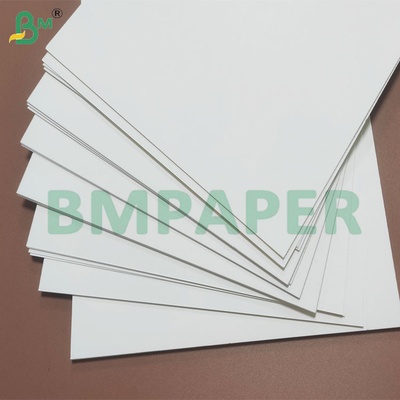 Proteção resistente à humidade revestida em PE, rolos de papel para copos descartáveis