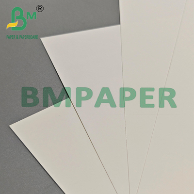 Papel de película PET multiuso de 200um para embalagens de exportação e rótulos industriais