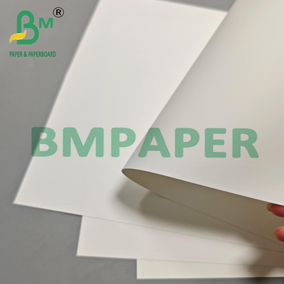 Papel de película PET multiuso de 200um para embalagens de exportação e rótulos industriais