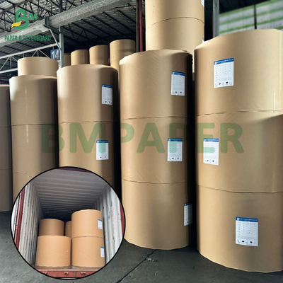 260g 280g Papel PET branco de boa qualidade para bandeja de forno Resistente ao calor 200+ graus