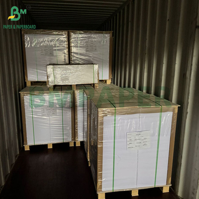 240gm 260gm Cupp1s Papel branco imprimível para fabricação de copos 700mm 800mm