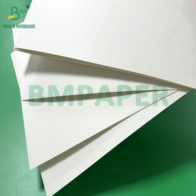 240gm 260gm Cupp1s Papel branco imprimível para fabricação de copos 700mm 800mm