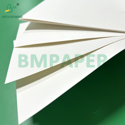 240gm 260gm Cupp1s Papel branco imprimível para fabricação de copos 700mm 800mm