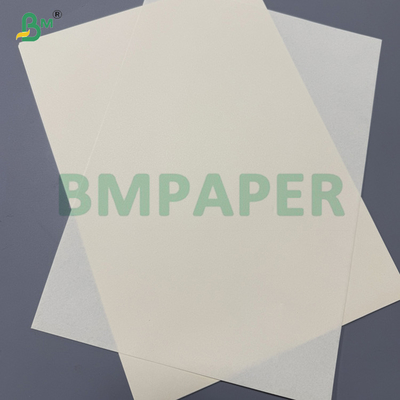 Papel Offest de Creme de Marfim sem Ácido de 80 gm para Impressão Editorial