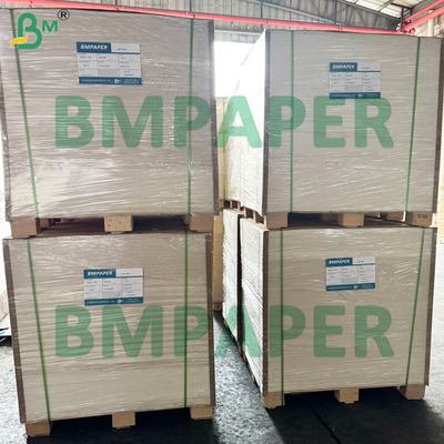 Papelão Revestido PET Resistente ao Calor Cor Branca Seguro para Alimentos para Bandejas