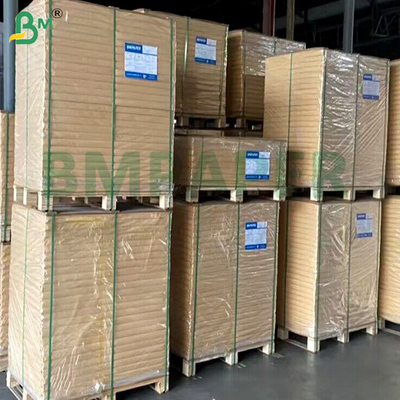 1073B 1059B Papel Dupont Branco Selável a Quente com Alta Barreira Bacteriana para Embalagem Blister de Dispositivos Médicos