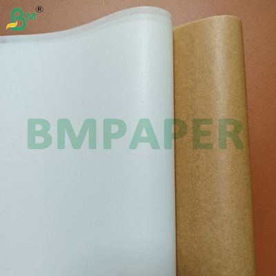 Folhas de Papel Siliconizado Resistente a Gordura 50GSM para Fritadeira