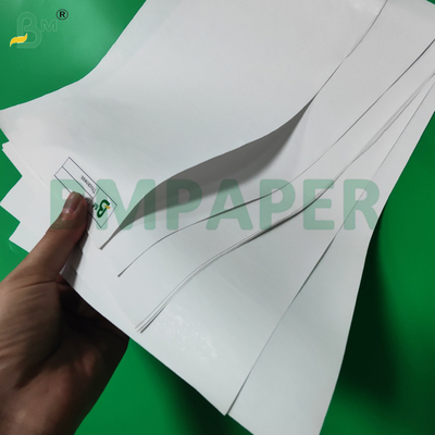 55gm 65gm papel térmico Jumbo Roll para máquinas POS 480mm Eco - amigável