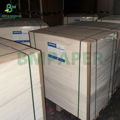 350GSM 400GSM Cartão de bolhas brilhantes de lado único para bandejas termoformadas