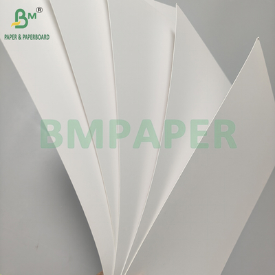 250-400 gm Papel de bolhas revestido de C1S branco para embalagem de bolhas cartão