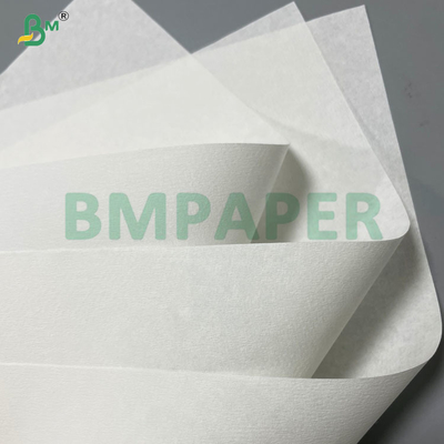 20 gramas 25 gramas 33 gramas 50 gramas Crepe Finish Food Grade Coffee Filter Paper