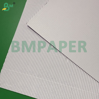 Bobinas de Papel Mic-Ondulado Branco 100cmx50m, 2 Camadas 70gsm + 70gsm