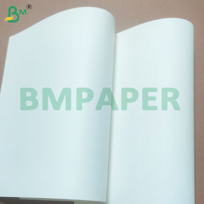 Bobinas de papel sem madeira de 70 g/m² e 75 g/m² com bom efeito de impressão para impressão