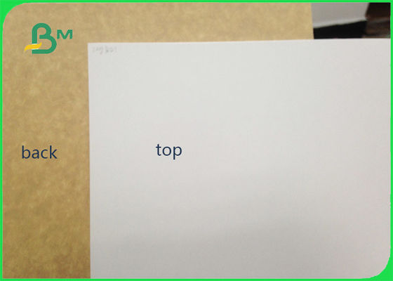 450gsm FSC certificou o rolo revestido argila do papel do produto comestível da parte traseira de Kraft/papel branco do forro para embalar
