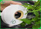 Papel de embalagem Compostable de produto comestível de 100% 60gsm 120gsm para palhas biodegradáveis