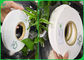 Papel de palha inócuo seguro do produto comestível da largura de 60gsm 120gsm 14mm 15mm para palhas bebendo de papel sanitário