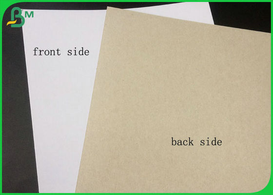 Lado branco certificado FSC da placa frente e verso revestida com parte traseira do cinza na embalagem do grande rolo