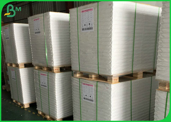 carretel lustroso branco do papel de arte do GV de 300GSM FSC com material natural da polpa de 100%