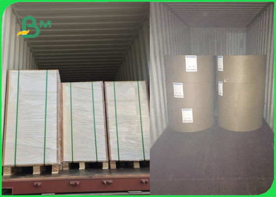 o lado branco da dobra uma da placa de marfim de 250gsm 270gsm 300gsm C1S revestiu o FSC certificado