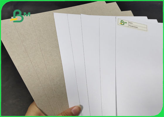 200 / 230gr C1S com largura 1250mm do AA da categoria da parte traseira do cinza com o GV & o FSC certificados