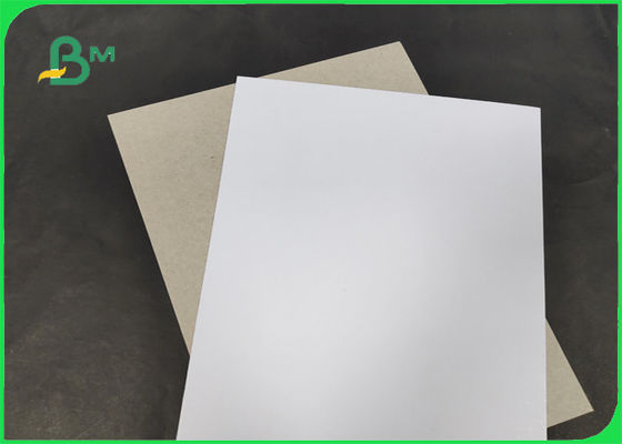 200 / 230gr C1S com largura 1250mm do AA da categoria da parte traseira do cinza com o GV & o FSC certificados