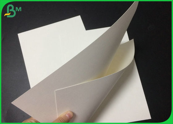 1.3mm 1.4mm Papel Blotter Absorvente Branco de Pulpa Pura para Fabricação de Cerveja 24 x 36 polegadas