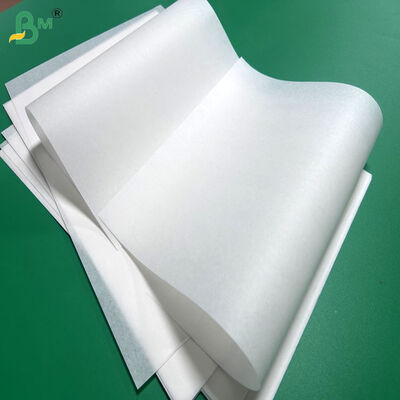300mm 400mm 30gsm 35gsm Papel de silicone à prova de gordura para bolinhos de bolo