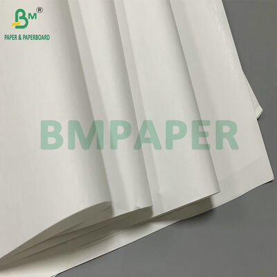 Papel Térmico Jumbo de 48gsm 640mm Para Etiqueta Adesiva de Cartão