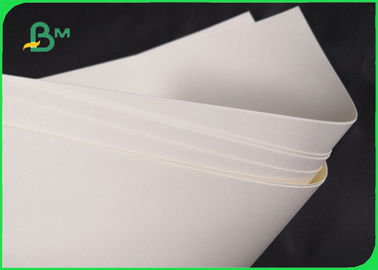 Papel baixo biodegradável de 190gsm 210gsm Cupstock para a bacia 720MM do alimento 860MM