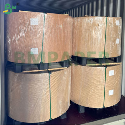 240gm 260gm Cupp1s impermeável de papel para copos de café 70cm 80cm bobina