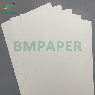 Papel Kraft Natural PE Revestido Biodegradável de 210 GSM para Copos Frios - Compostável