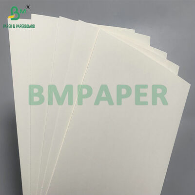 Papelão biodegradável e seguro para microondas para fazer tigelas descartáveis para salada