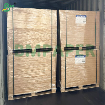 Papel para alimentos seguro para micro-ondas para pratos de papel, copos resistentes a cortes