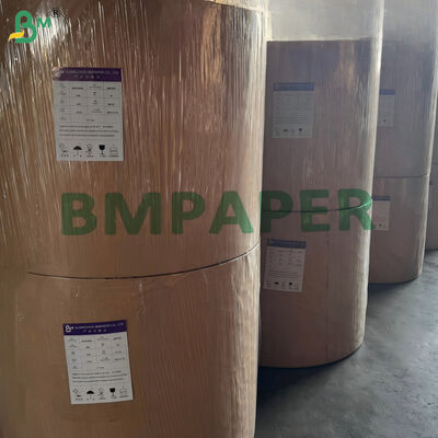 Papel para copos com revestimento único de 170gsm 190gsm à base de água, compostável, 650mm