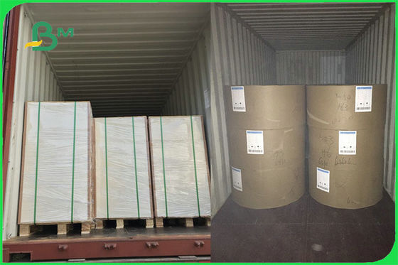 Do PE seguro branco da placa 15g do alimento FBB do FSC FDA papel revestido para o copo que faz o costume