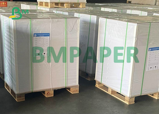 Tampa 20x40inch branco brilhante de 10PT 12PT C2S para imprimir dos folhetos