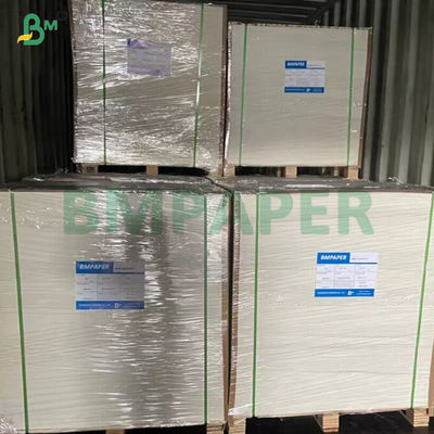 Papel de base de taça branqueado à prova d' água de qualidade alimentar FDA 240 gm