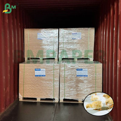 Papel de criação de galinhas brancas Papel de aves de capoeira 66cm 100cm