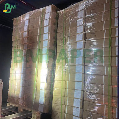 Papel de criação de galinhas brancas Papel de aves de capoeira 66cm 100cm