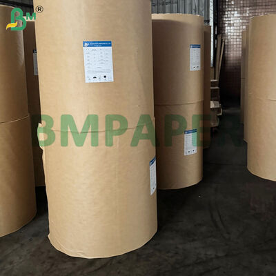 Papel para cupcakes não pegajoso para assar Papel para cupcakes de pergaminho colorido e à prova de gordura