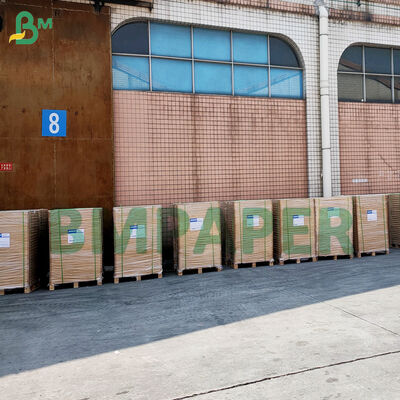 Papel para cupcakes não pegajoso para assar Papel para cupcakes de pergaminho colorido e à prova de gordura